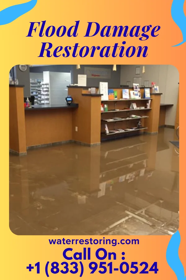 Flood Damage Restoration in Cottage Grove, MN