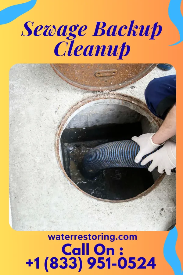 Sewage Backup Cleanup in Cottage Grove, MN