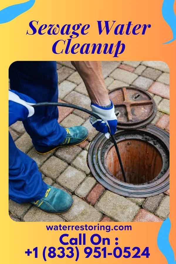 Sewage Water Cleanup in Cottage Grove, MN